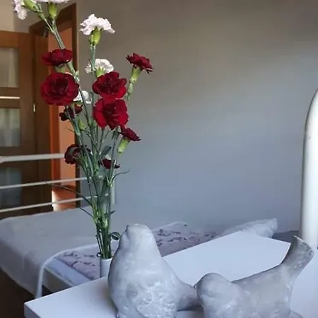 Bed & Breakfast Green Hotel&wellness