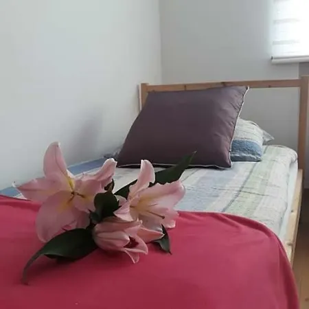 Green Hotel&wellness Bed & Breakfast *