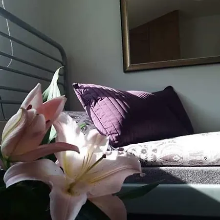 Bed & Breakfast Green Hotel&wellness