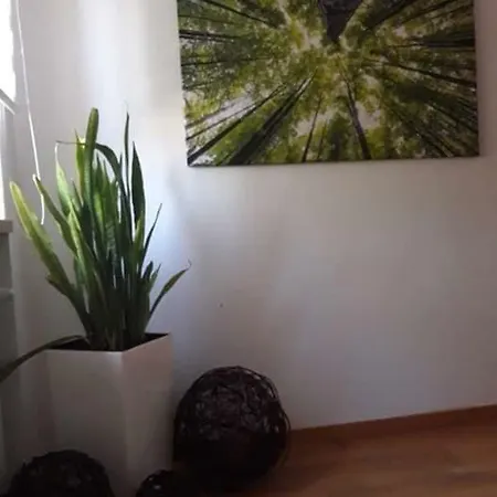 Bed & Breakfast Green Hotel&wellness
