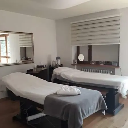 Green Hotel&wellness * Warsaw